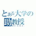 とある大学の助教授（オトコのコ）