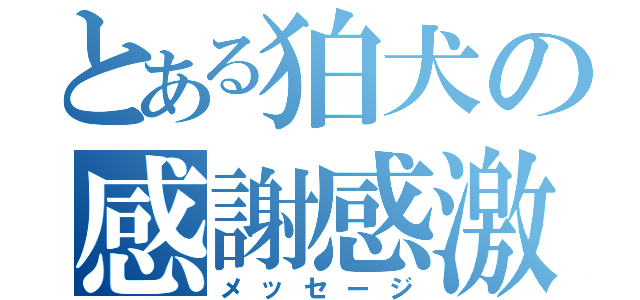 とある狛犬の感謝感激（メッセージ）