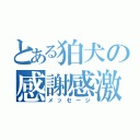 とある狛犬の感謝感激（メッセージ）