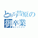 とある芦原の御卒業（モッツァレラ）