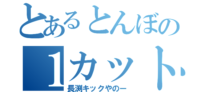 とあるとんぼの１カット（長渕キックやのー）