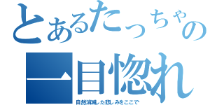 とあるたっちゃんの一目惚れ（自然消滅した悲しみをここで‼）