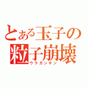 とある玉子の粒子崩壊（ウラガンキン）