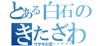 とある白石のきたざわれん（ウサギの恋😌🌸💕）