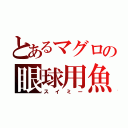 とあるマグロの眼球用魚（スイミー）