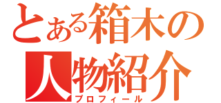 とある箱木の人物紹介（プロフィール）