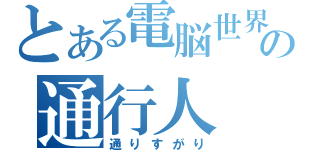 とある電脳世界の通行人（通りすがり）