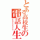 とある高校生の電話人生（スカイプライフ）