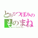 とあるつぼみのものまね術（パーフェクトコピー）