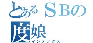 とあるＳＢの度娘（インデックス）