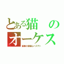 とある猫のオーケストラ（協奏の愛猫心バステト）