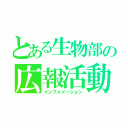 とある生物部の広報活動（インフォメーション）