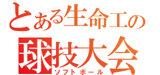 とある生命工の球技大会（ソフトボール）