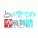 とある空での空戦舞踏（ＡＣＥ ＣＯＭＢＡＴ）