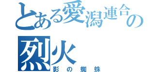 とある愛潟連合の烈火（影の蜘蛛）