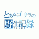 とあるゴリラの野生記録（３６５日間）