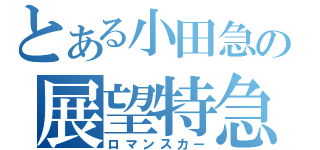 とある小田急の展望特急（ロマンスカー）