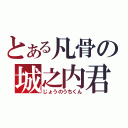 とある凡骨の城之内君（じょうのうちくん）