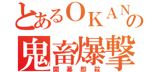 とあるＯＫＡＮの鬼畜爆撃（開幕即殺）