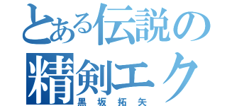 とある伝説の精剣エクスカリバー（黒坂拓矢）