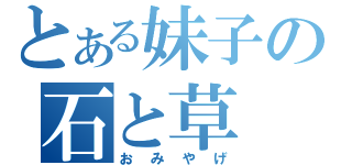 とある妹子の石と草（おみやげ）