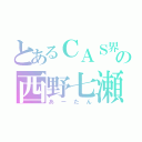 とあるＣＡＳ界の西野七瀬（あーたん）