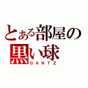 とある部屋の黒い球（ＧＡＮＴＺ）