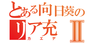 とある向日葵のリア充Ⅱ（カエデ）