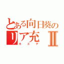 とある向日葵のリア充Ⅱ（カエデ）