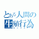 とある人間の生殖行為（セックス）