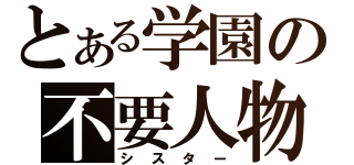 とある学園の不要人物（シスター）