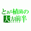 とある植菌の大方前半（やろうども）