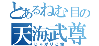 とあるねむ目の天海武尊（じゃがりこ命）