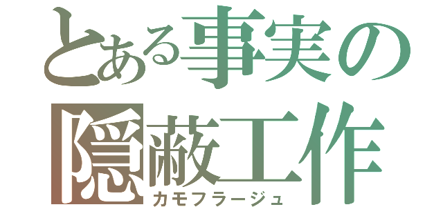 とある事実の隠蔽工作（カモフラージュ）