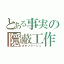 とある事実の隠蔽工作（カモフラージュ）