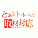 とあるトルコの取材対応（オカネモウケ）