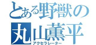 とある野獣の丸山薫平（アクセラレーター）