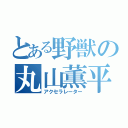 とある野獣の丸山薫平（アクセラレーター）