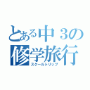 とある中３の修学旅行（スクールトリップ）