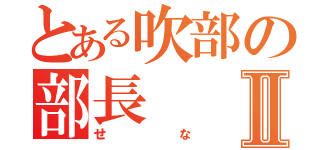 とある吹部の部長Ⅱ（せな）