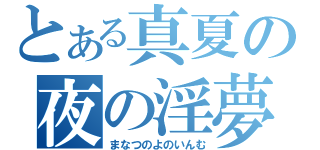 とある真夏の夜の淫夢（まなつのよのいんむ）