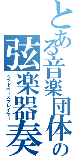 とある音楽団体の弦楽器奏者（ウッドベースプレイヤー）