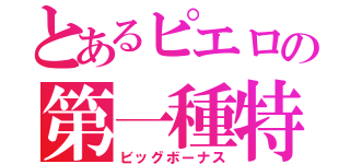 とあるピエロの第一種特別役物連続作動装着（ビッグボーナス）