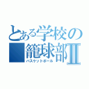 とある学校の　籠球部Ⅱ（バスケットボール）