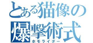 とある猫像の爆撃術式（ホモライダー）