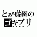 とある藤園のゴキブリ（光瀬有希）