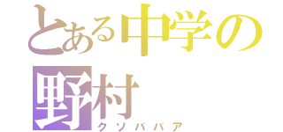 とある中学の野村　（クソババア）