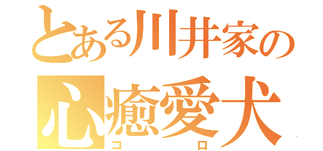 とある川井家の心癒愛犬（コロ）