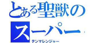 とある聖獣のスーパー戦隊（テンマレンジャー）