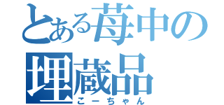 とある苺中の埋蔵品（こーちゃん）